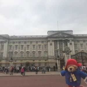 Meet your Posher, Ana